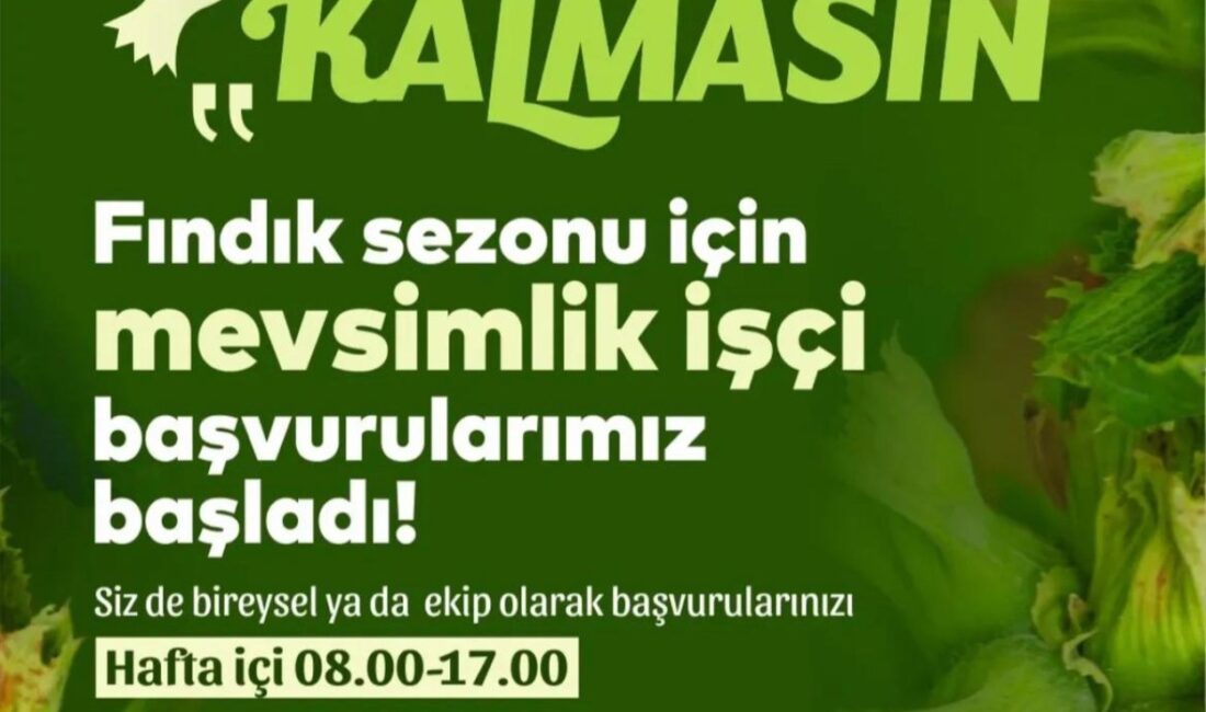 Ordu Büyükşehir Belediyesi tarafından 5 yıldır uygulanan ve fındık işçileri