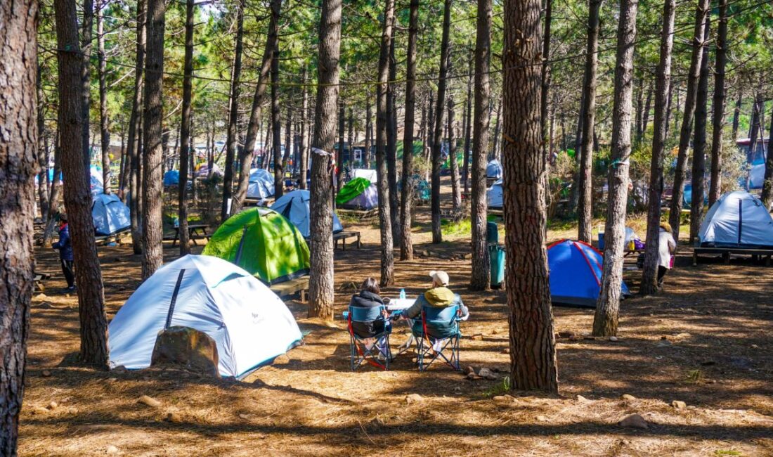 Doğayla iç içe konumu ve temiz havasıyla dikkat çeken Ünye