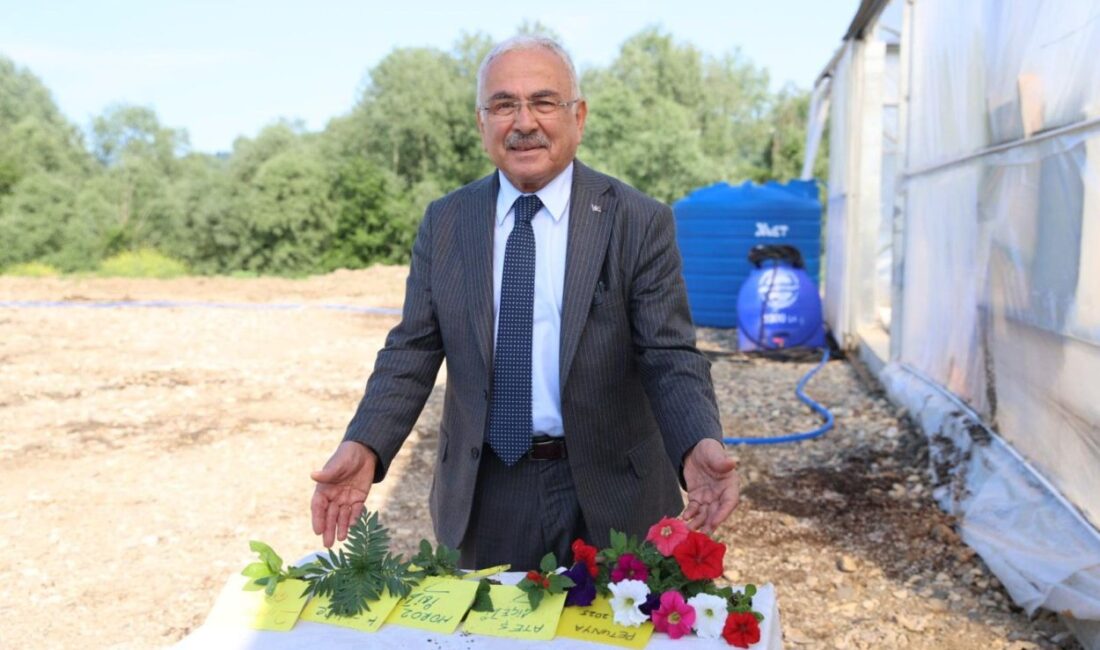 Ordu Büyükşehir Belediyesi kentin dört bir yanını güzelleştirmek için hayata