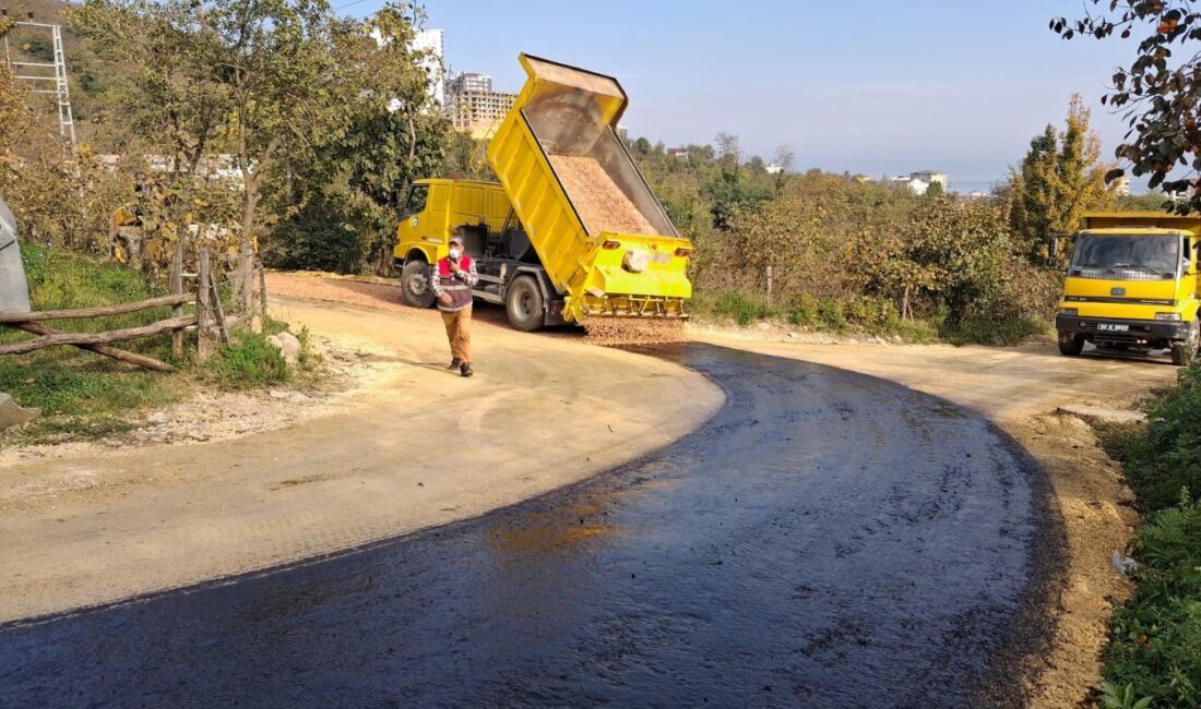 Türkiye’nin kırsal yol ağı en uzun ili olan Ordu’da Büyükşehir